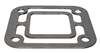 OMC & Volvo Manifold to Riser Gasket  3850495