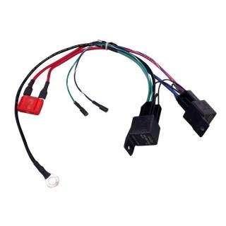 Conversion Wire Harness