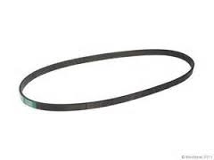 Serpentine Belt