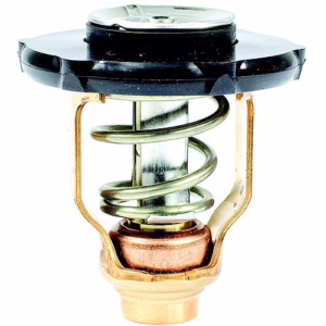 Thermostat Yamah 6FP-12411-00-00