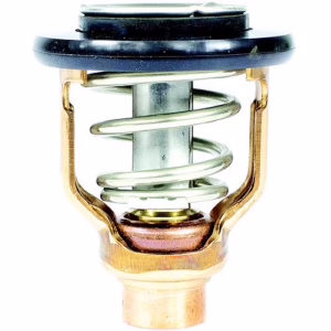 Thermostat Yamaha 6DA-12411-01-0