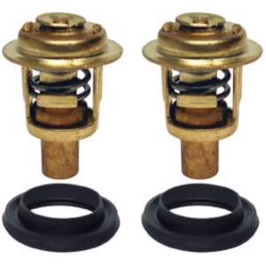 Mercury/Mariner/Force Thermostat Kit 75692Q2