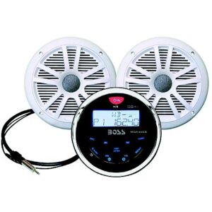 Radio AM/FM W/white Speakers