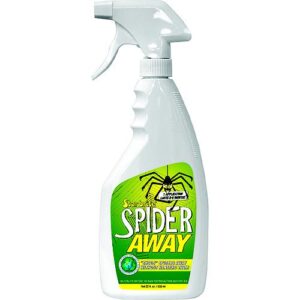 Spider Away