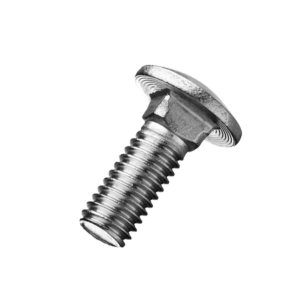 Carriage Bolt 1/4 x 1